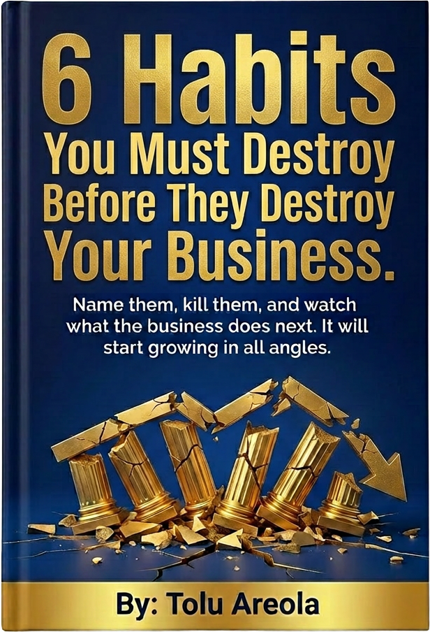 6 Habits You Must Destroy Before They Destroy Your Business — ebook by Tolu Areola